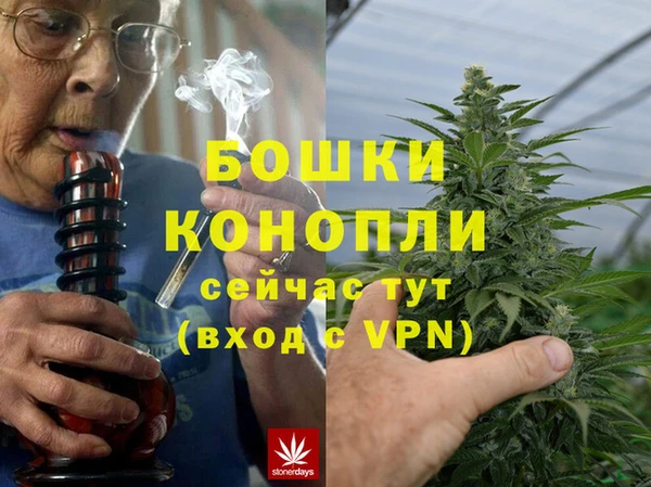 молекула духа Бородино
