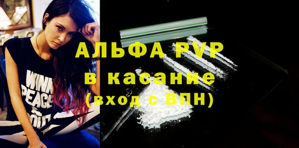 молекула духа Бородино