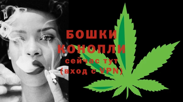 молекула духа Бородино