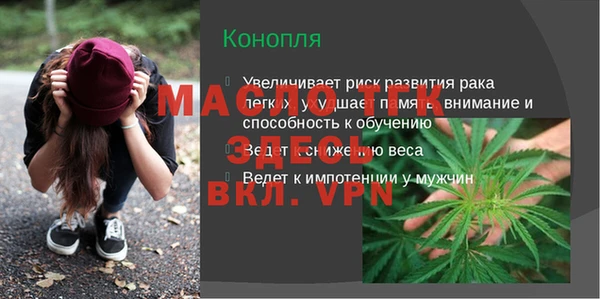 молекула духа Бородино