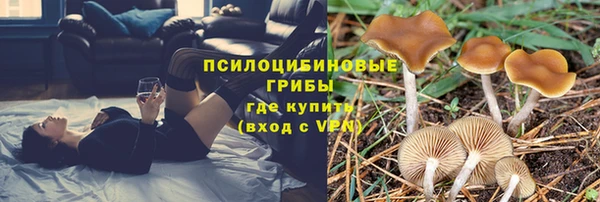 стафф Бугульма