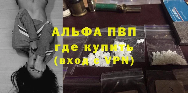 молекула духа Бородино