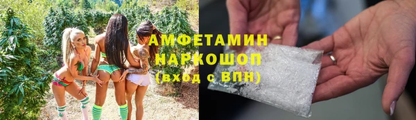 молекула духа Бородино