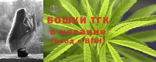 молекула духа Бородино