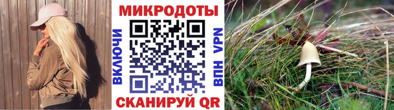 наркотики  Дзержинск  Псилоцибиновые грибы мицелий 